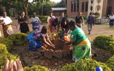 Les femmes gardiennes de sœur notre mère la Terre: témoignage du Malawi