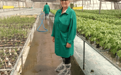 Plantando Esperanza: «Pequeñas acciones pueden inspirar a otros»